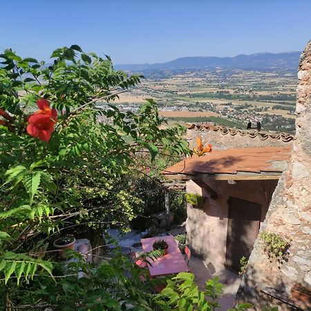 Villa Rurale Nei Pressi Castello Campello sul Clitunno Eksteriør bilde