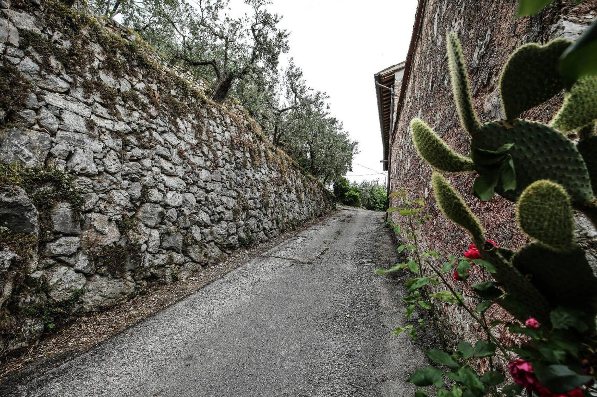 Villa Rurale Nei Pressi Castello Campello sul Clitunno Eksteriør bilde