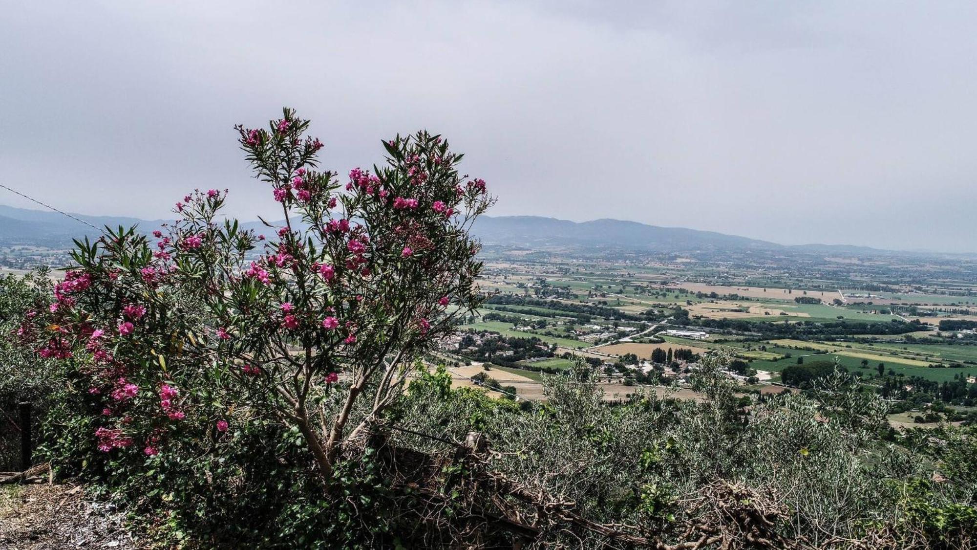 Villa Rurale Nei Pressi Castello Campello sul Clitunno Eksteriør bilde